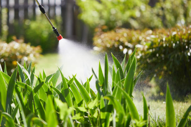 24/7 Emergency Termite Control experts in Pooler, GA