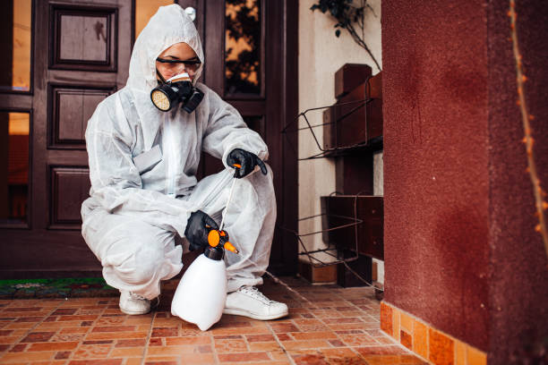 Reliable Termite Control contractor in Pooler, GA by Nex Pest Control
